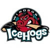 Windsor Ice Hogs