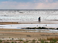 SNAPSHOT - Lake Erie water levels down 19 inches