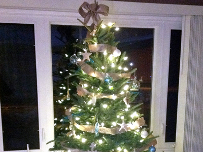 Show us your Trees! - Beneteau Family Tree