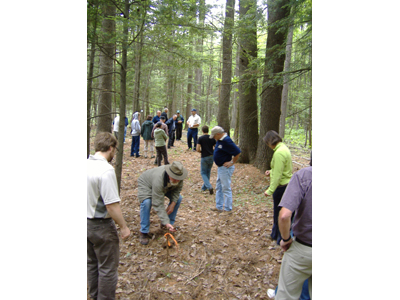 Welcome aboard - free forrestry bus tour