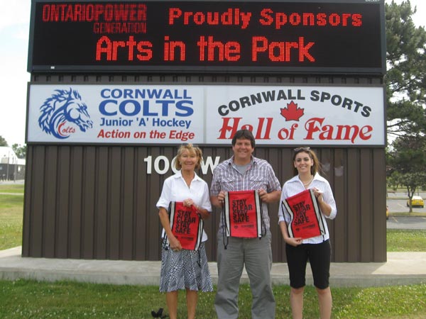 SNAPSHOT - OPG supports Cornwall Arts in the Park 2011 Summer Season