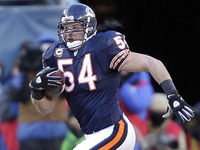 Emery drops the ball, Urlacher should still be a Bear